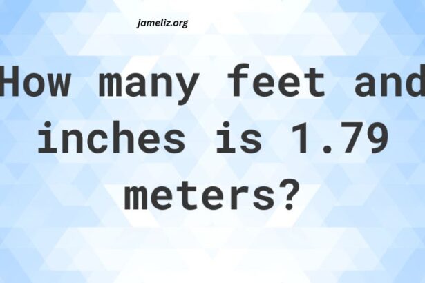 1.79 Meters in Feet