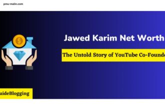 Jawed Karim Net Worth