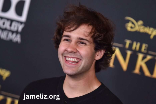 David Dobrik Net Worth