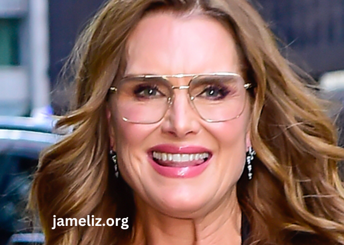 brooke shields net worth