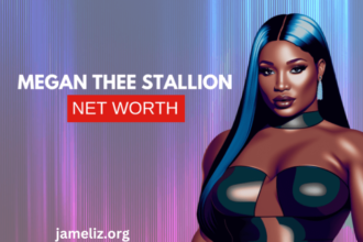 megan the stallion net worth