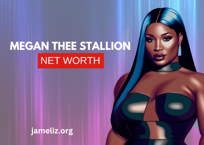 megan the stallion net worth