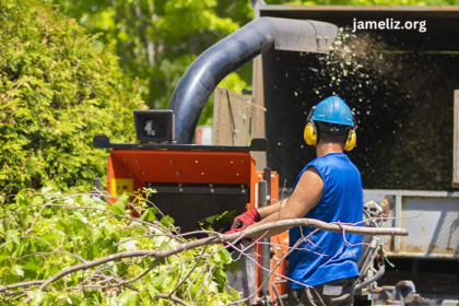 How to Keep Your Wood Chipper in Excellent Long-Lasting Condition?