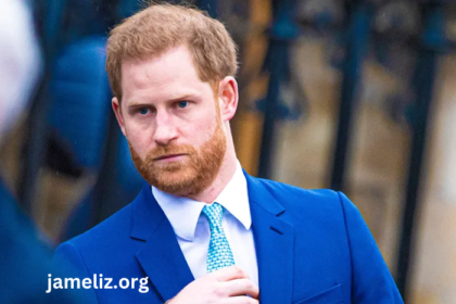 Prince Harry Duke Of Sussex Net Worth