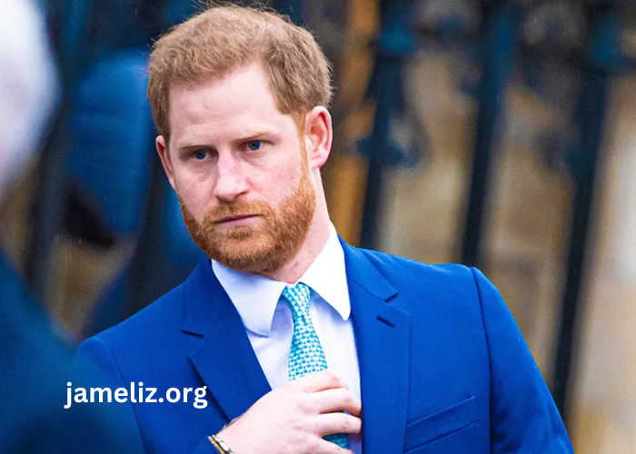 Prince Harry Duke Of Sussex Net Worth