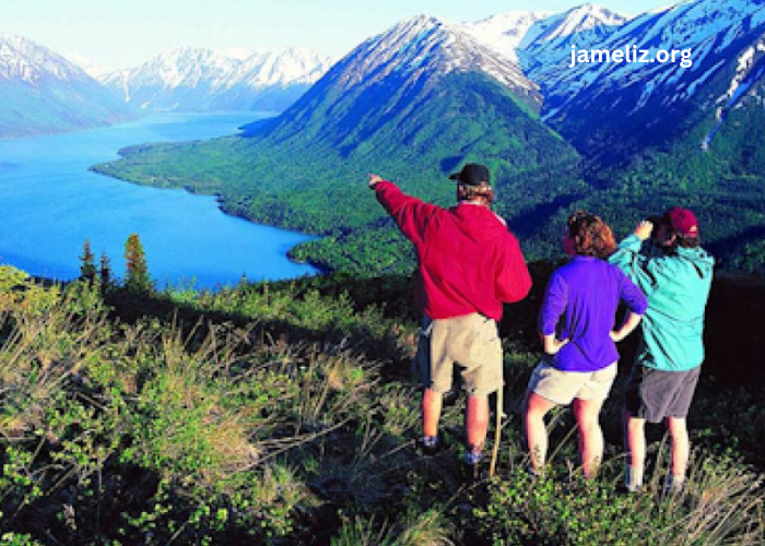 Exploring the Benefits of Small Group Guided Tours in Alaska