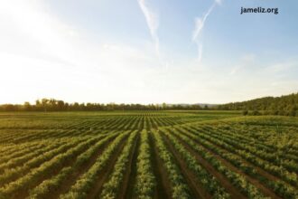 The worsening impact of climate change on global agriculture