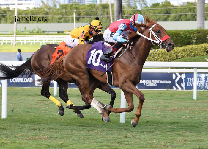 The Role of Turf Condition in Race Outcomes 1 The Role of Turf Condition in Race Outcomes