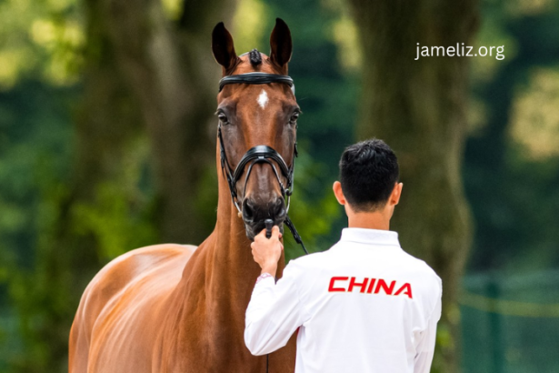 The Growing Market for Luxury Horse Turf