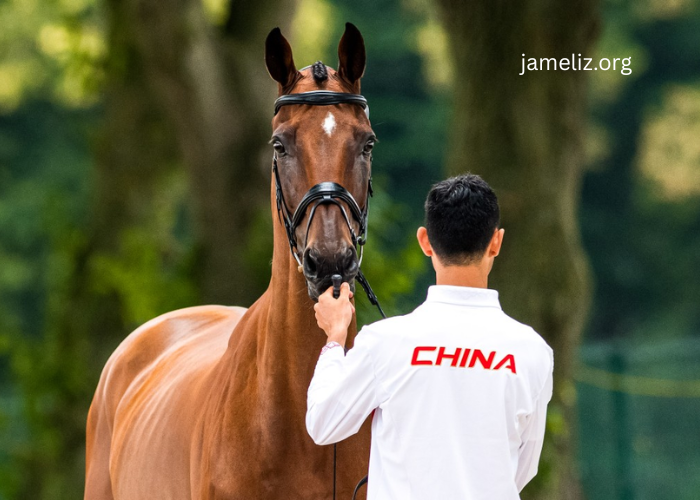 The Growing Market for Luxury Horse Turf