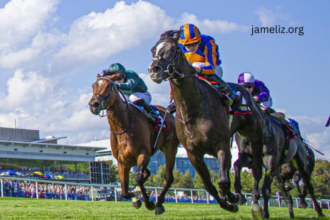 The Rise of Hybrid Turf in Professional Equestrianism