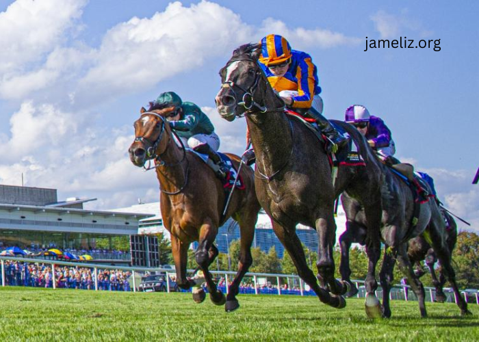 The Rise of Hybrid Turf in Professional Equestrianism