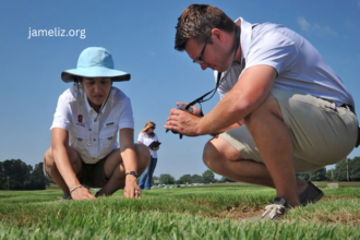 How to Manage Turf During a Drought Order