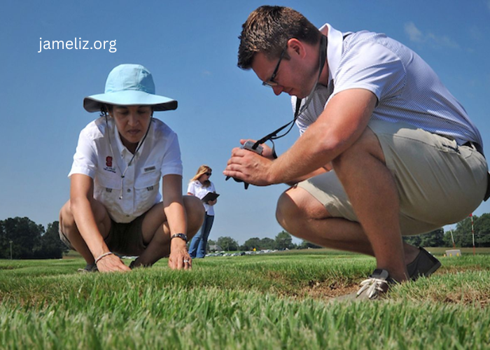 How to Manage Turf During a Drought Order