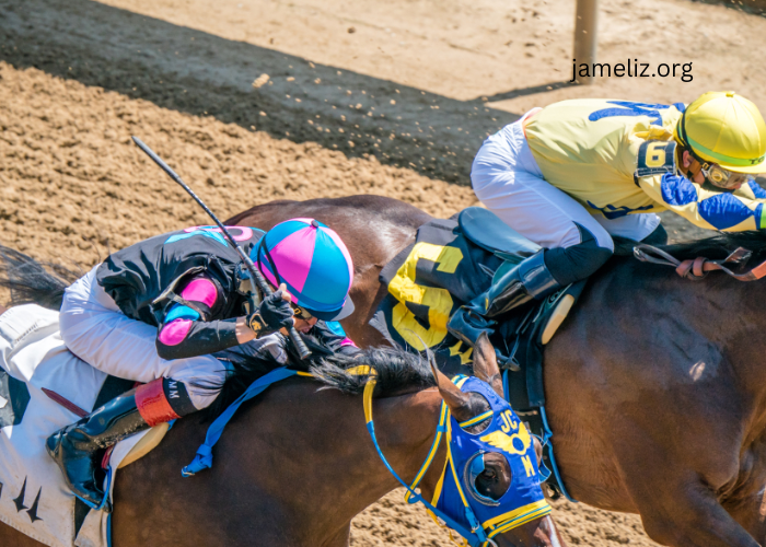 Why Turf Racing is the Most Social Form of the Sport