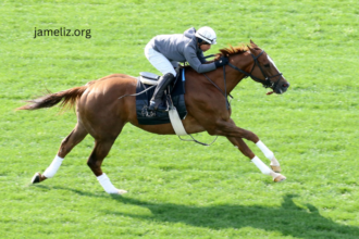 The History of Thoroughbred Turf Racing Explained