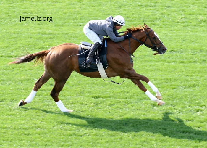 The History of Thoroughbred Turf Racing Explained